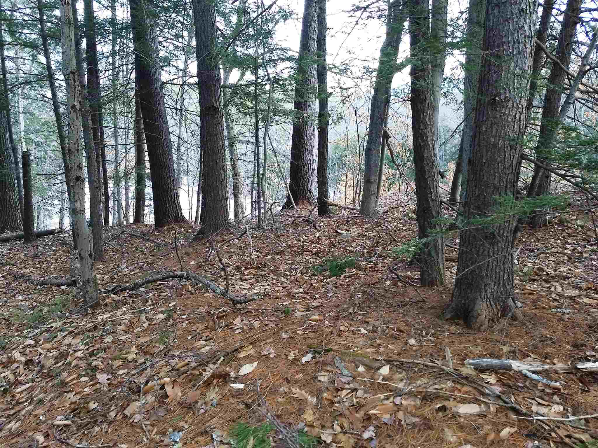 Lot 414-11 Durrell Road Tamworth, NH 03886 - Photo 18 of 40 Gallery Image 18