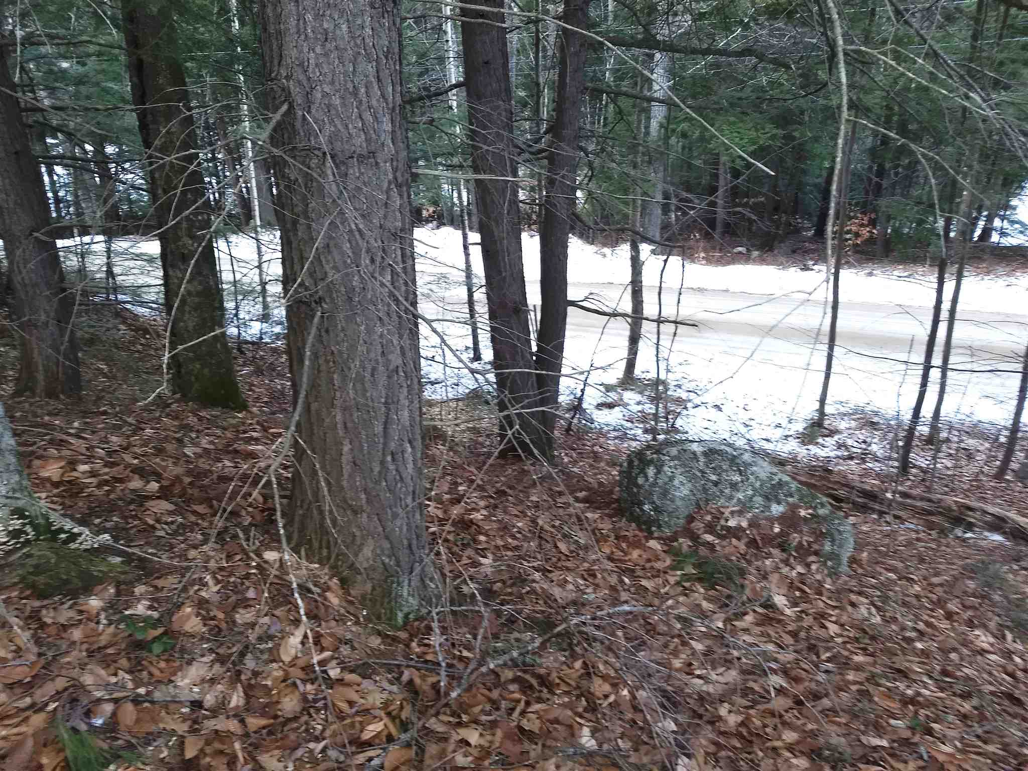 Lot 414-11 Durrell Road Tamworth, NH 03886 - Photo 19 of 40 Gallery Image 19