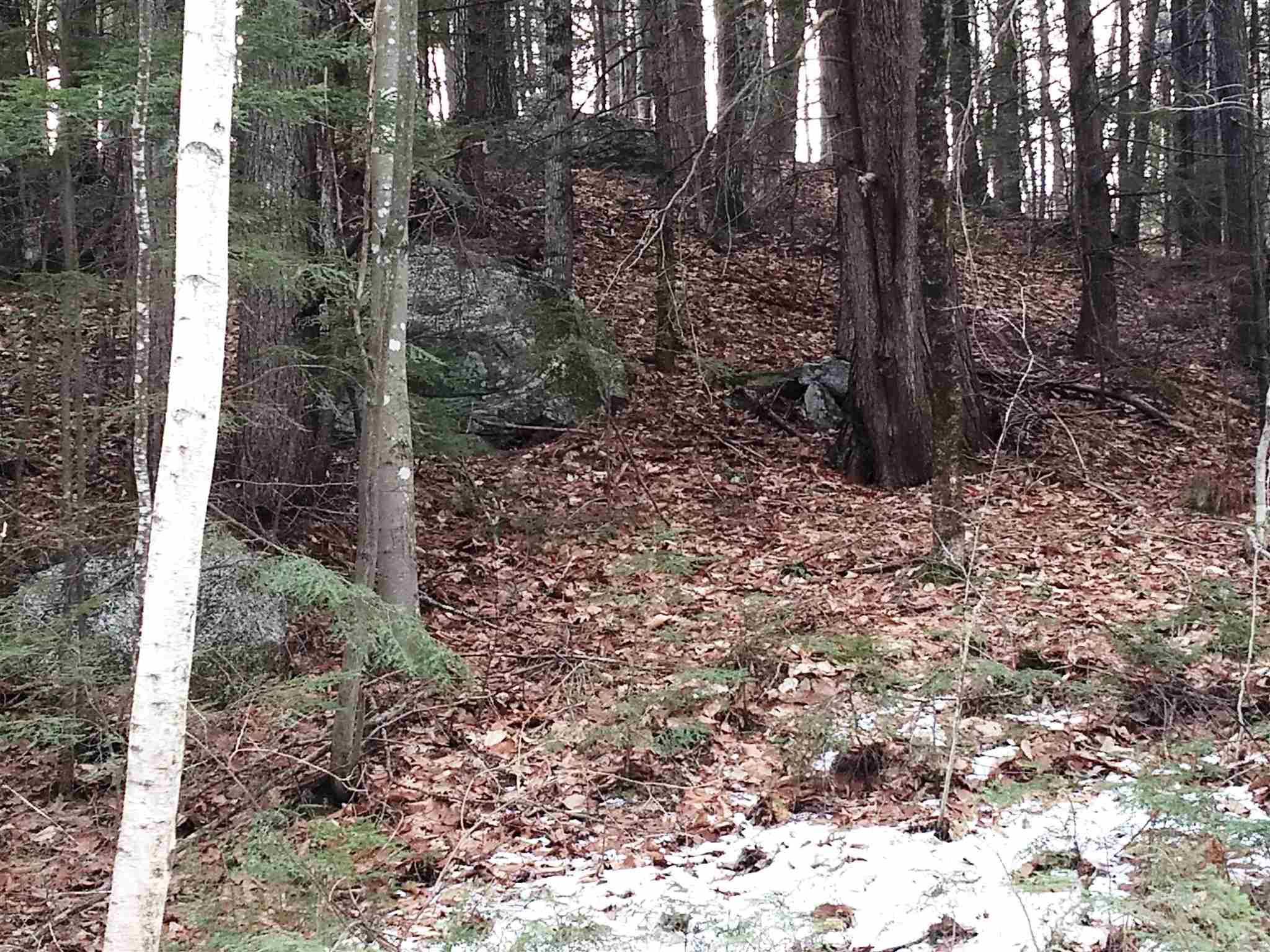 Lot 414-11 Durrell Road Tamworth, NH 03886 - Photo 20 of 40 Gallery Image 20