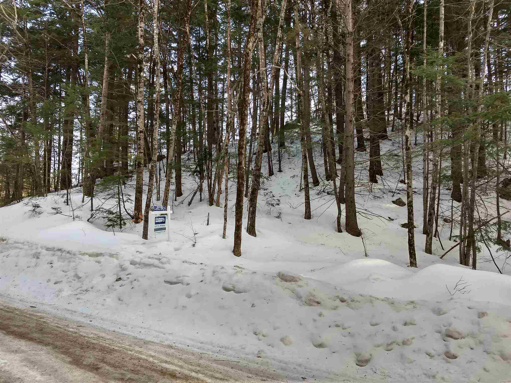 Lot 414-11 Durrell Road Tamworth, NH 03886 - Photo 23 of 40 Gallery Image 23