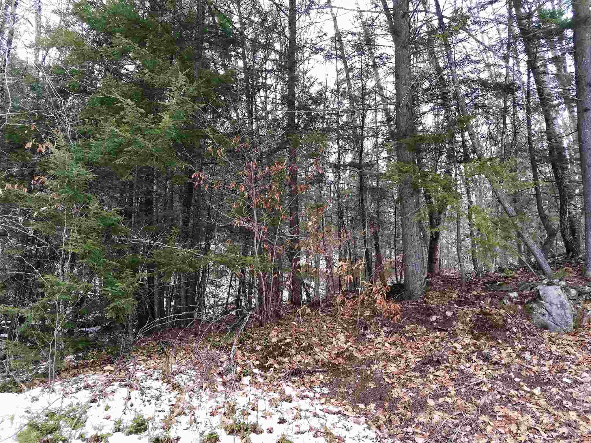 Lot 414-11 Durrell Road Tamworth, NH 03886 - Photo 27 of 40 Gallery Image 27