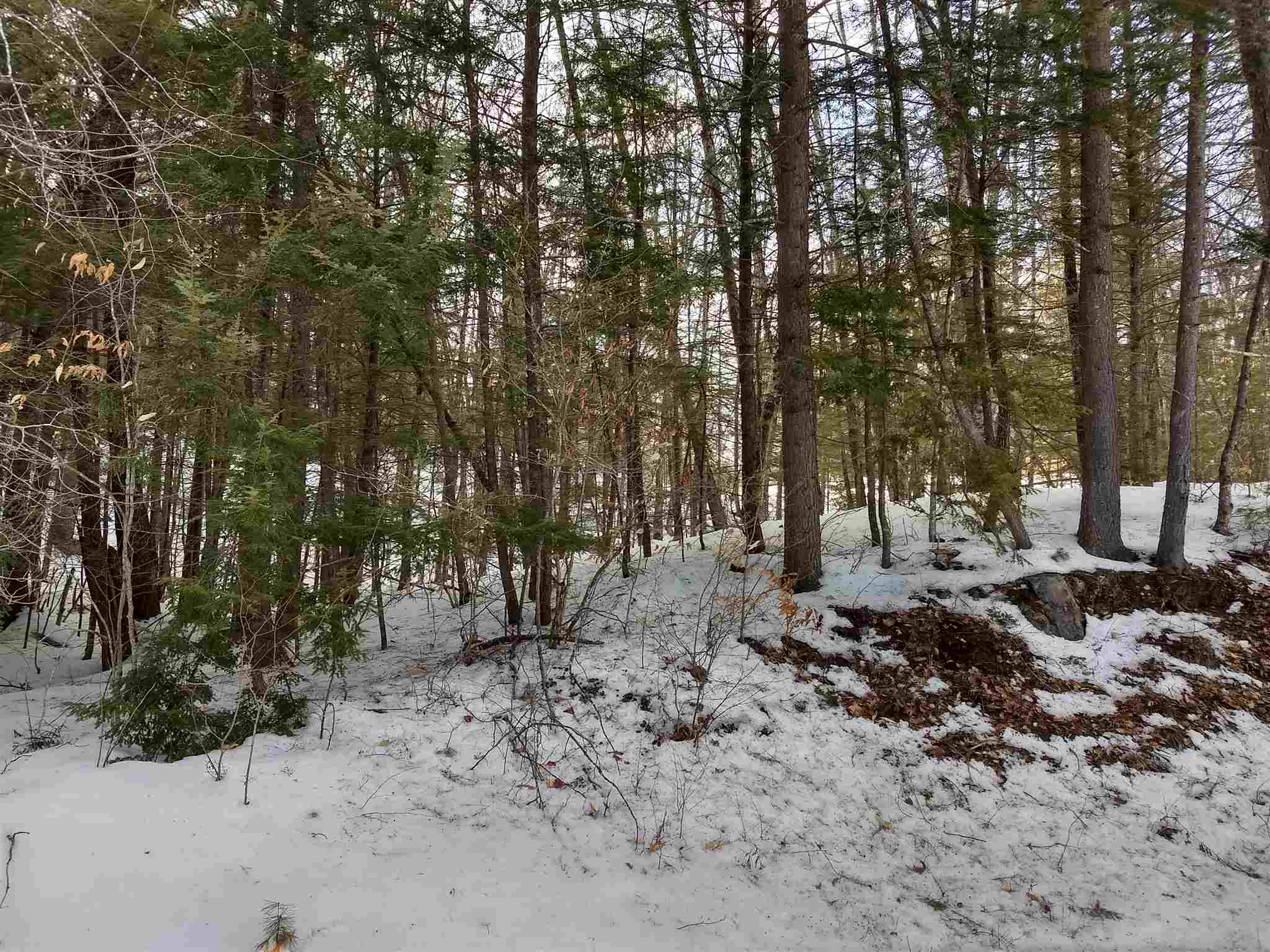 Lot 414-11 Durrell Road Tamworth, NH 03886 - Photo 28 of 40 Gallery Image 28
