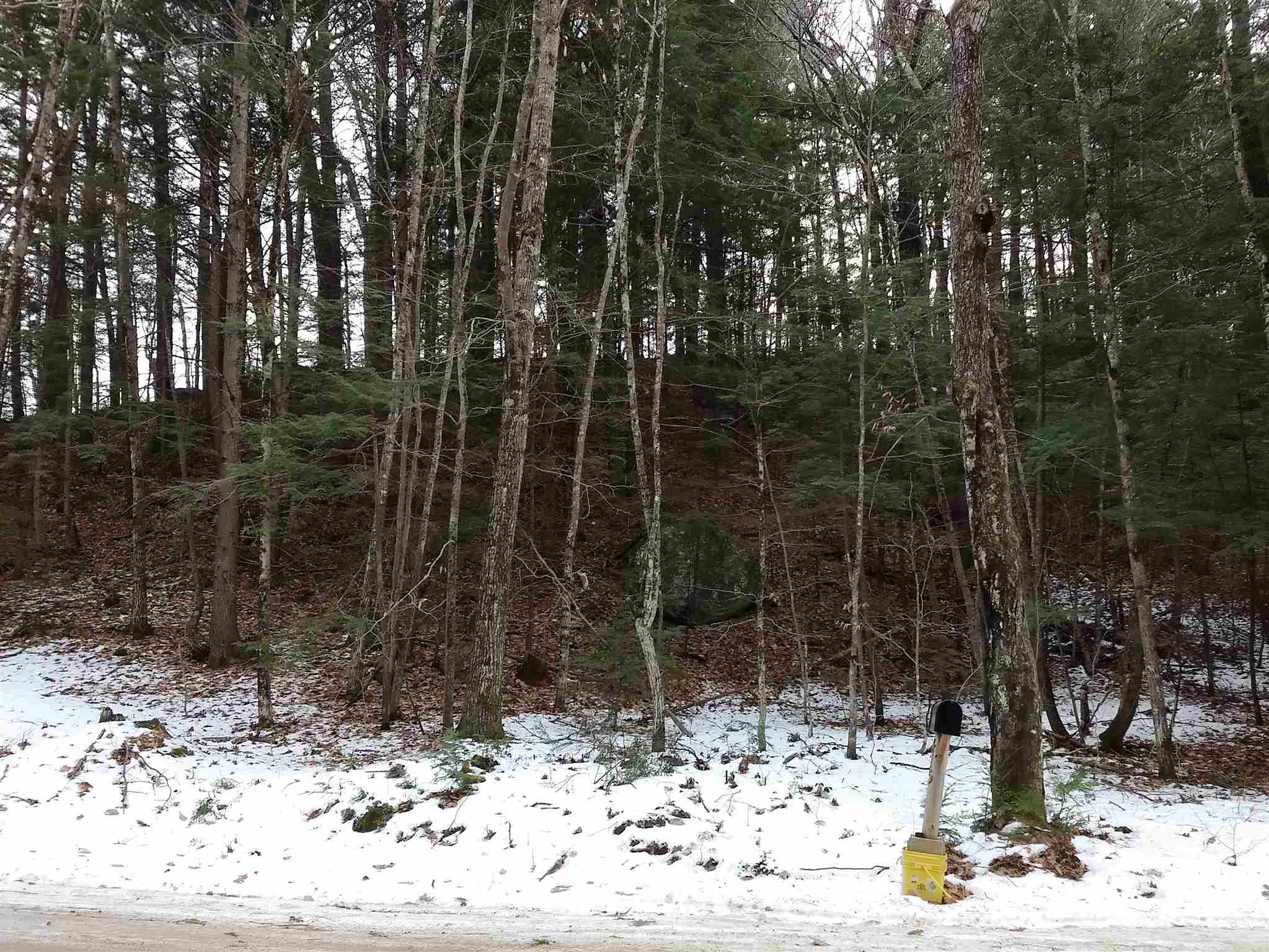 Lot 414-11 Durrell Road Tamworth, NH 03886 - Photo 10 of 40 Gallery Image 10