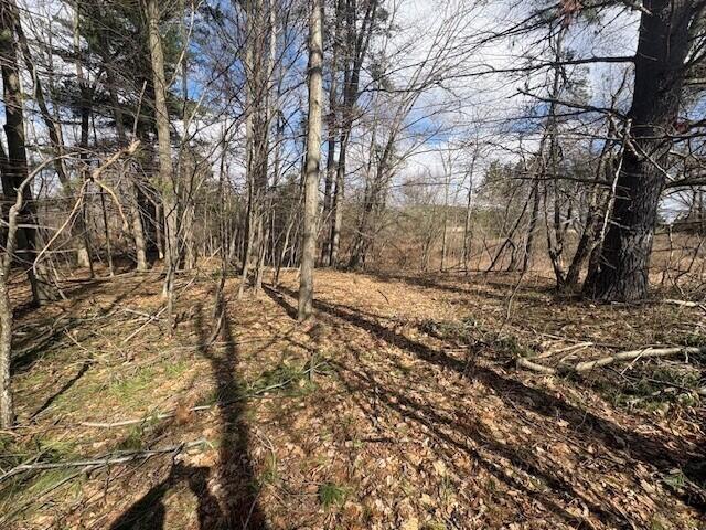 4 4 Mile Road Evart, MI 49631 - Photo 9 of 30