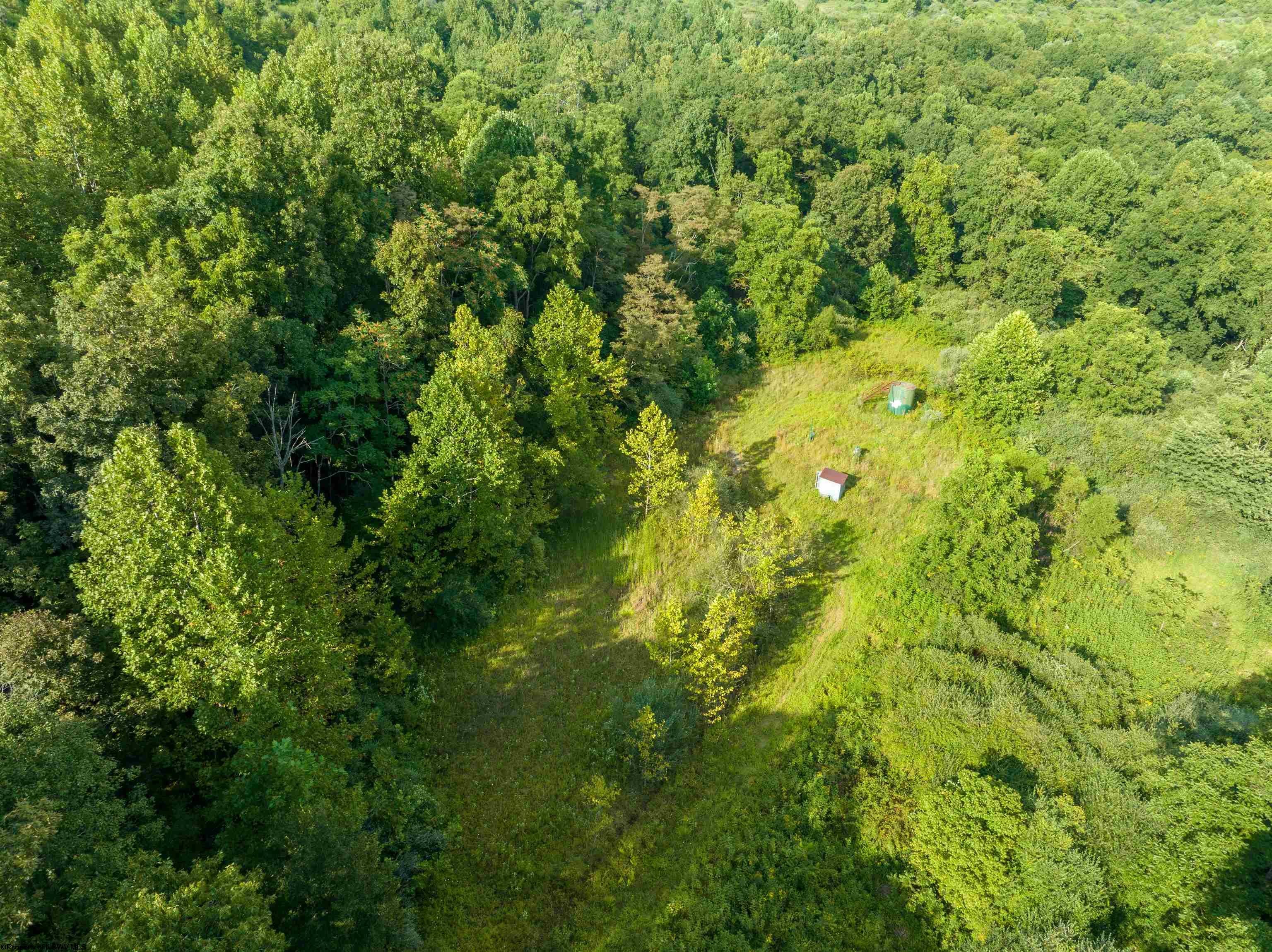 Tbd Green Valley Road Buckhannon, WV 26201 - Photo 22 of 49 Gallery Image 22