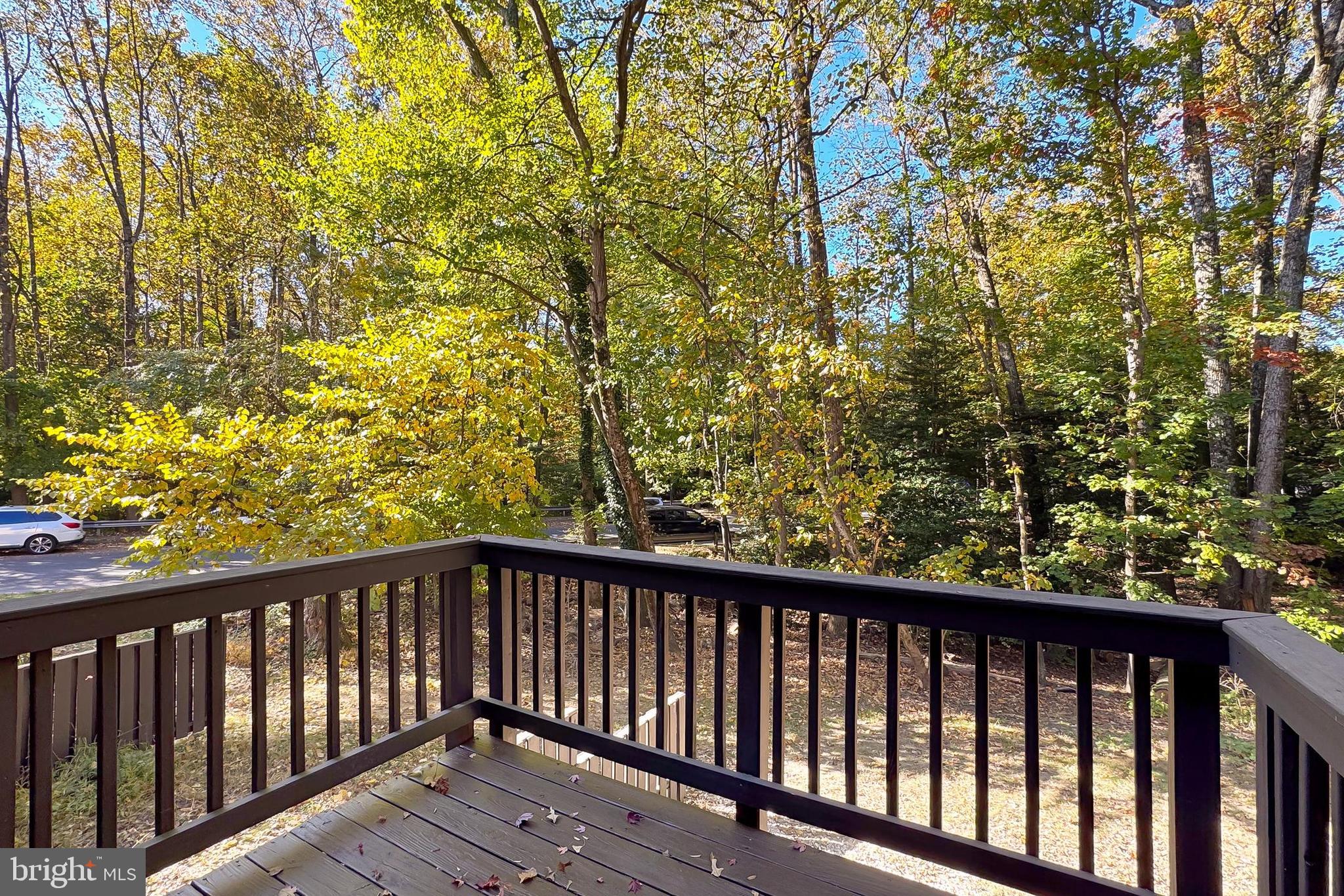 2202 Coppersmith Square Reston, VA 20191 - Photo 18 of 51