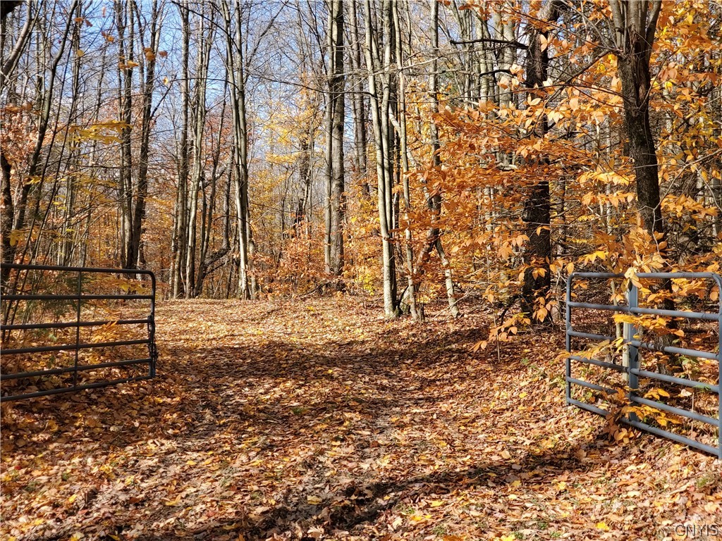 0 Johnson Road De Ruyter, NY 13052 - Photo 16 of 18 Gallery Image 16