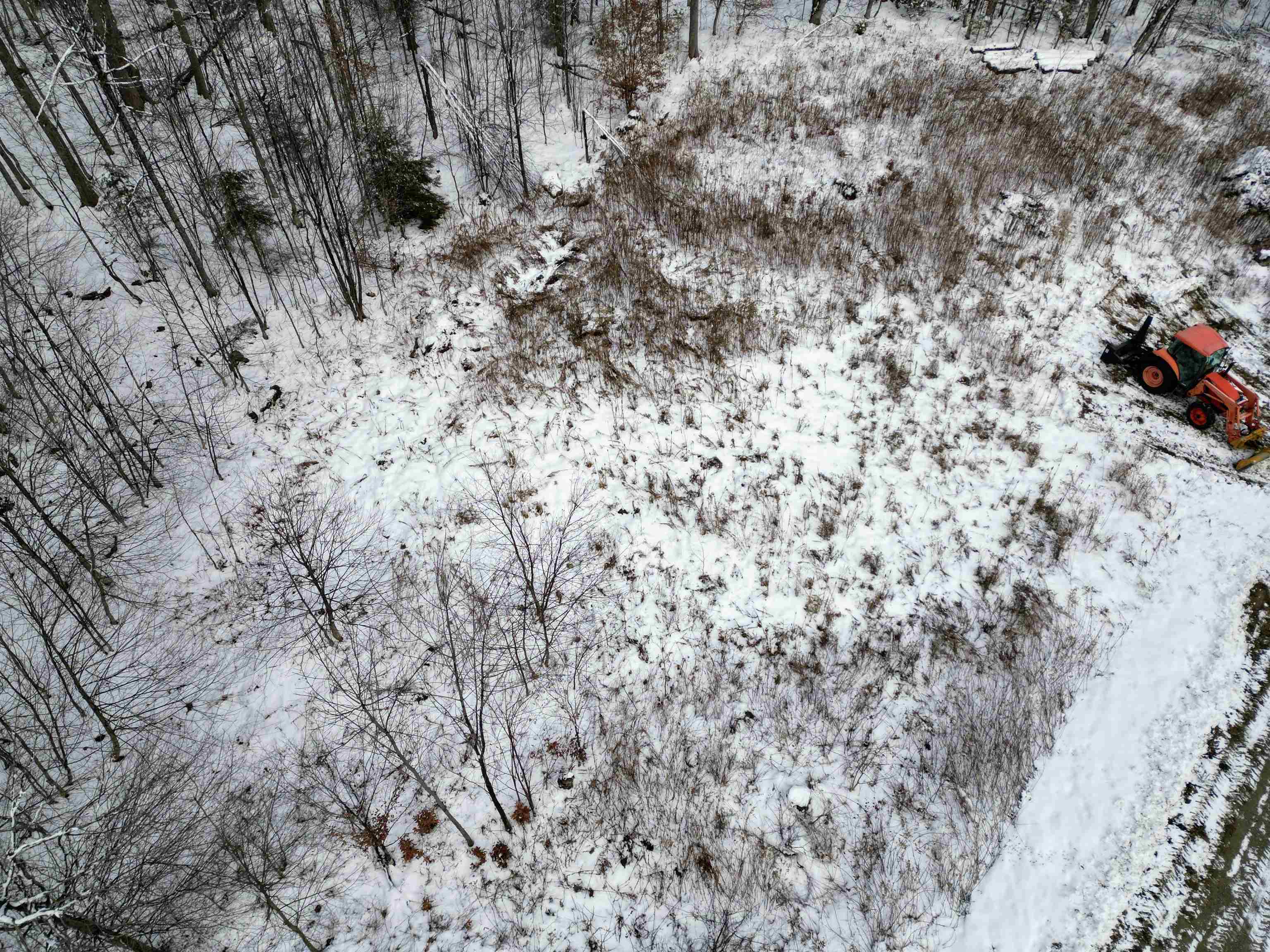 41 Moose Hollow Road Winhall, VT 05340 - Photo 12 of 12