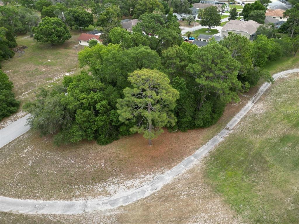 Loretto St Spring Hill Spring Hill, FL 34606 - Photo 7 of 7 a view of a yard with plants