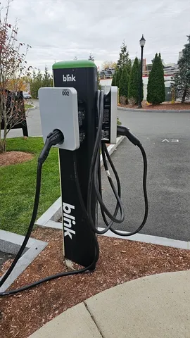 a view of a bench in the garden