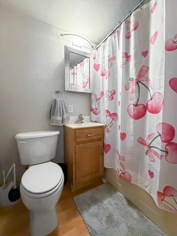 a bathroom with a sink toilet and shower curtain
