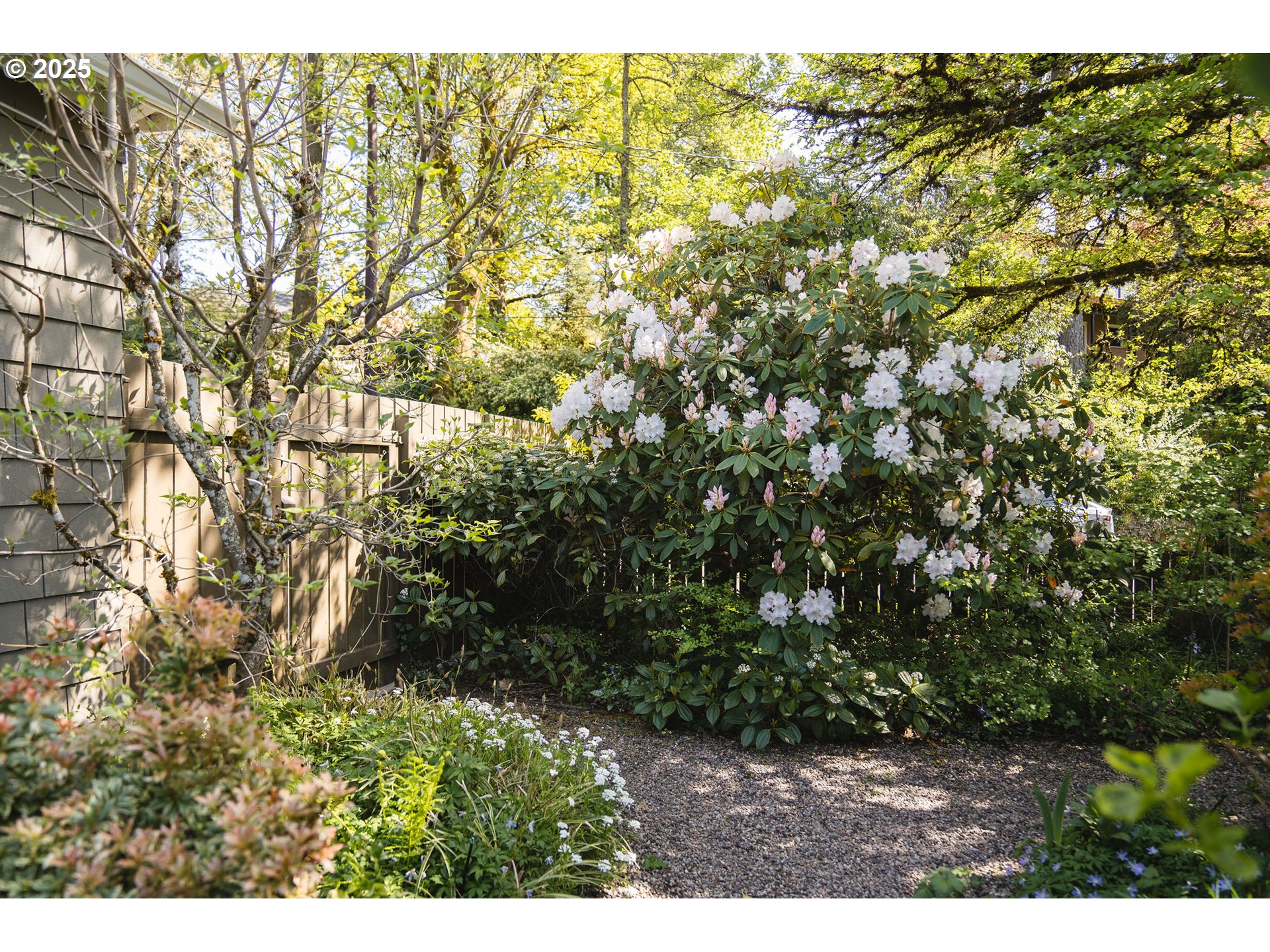 3940 Southwest Council Crest Drive Portland, OR 97239 - Photo 43 of 48 a view of outdoor space and trees
