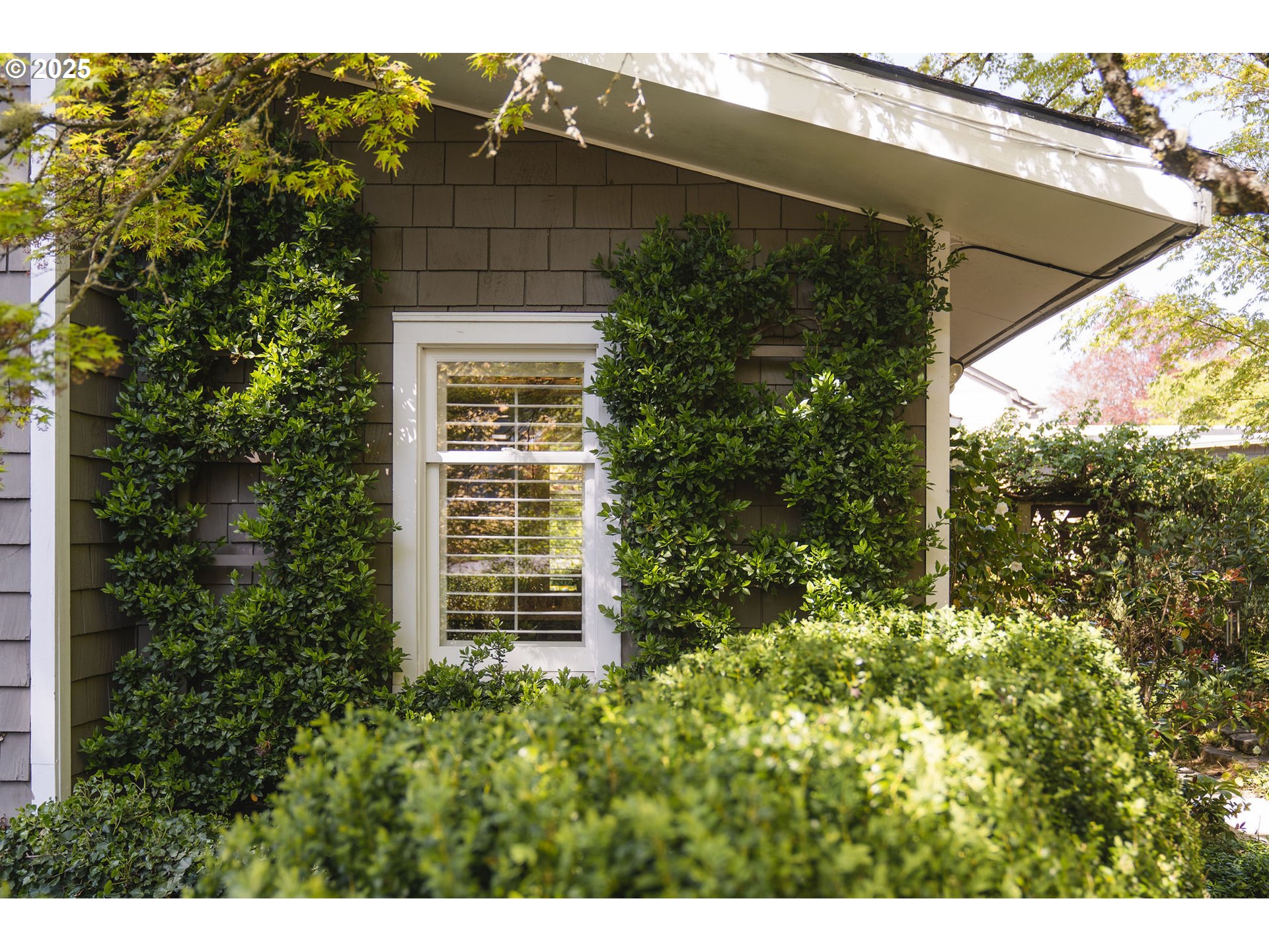 3940 Southwest Council Crest Drive Portland, OR 97239 - Photo 47 of 48 a view of a house with a tree