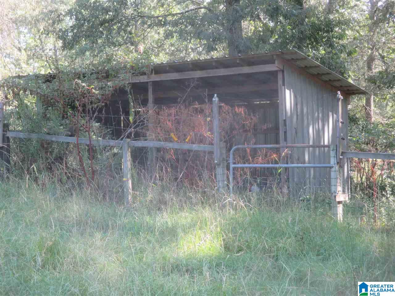 1561 Rainbow Lane Warrior, AL 35180 - Photo 29 of 34