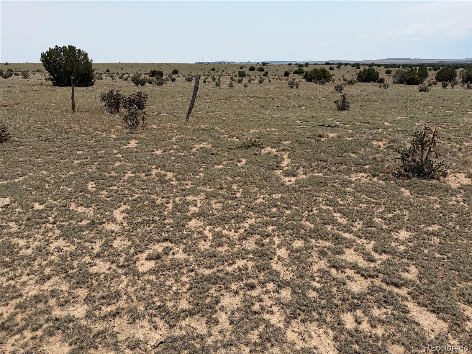 Lot 167 Tyrone Hills Ranch Walsenburg, CO 81089 - Photo 7 of 14