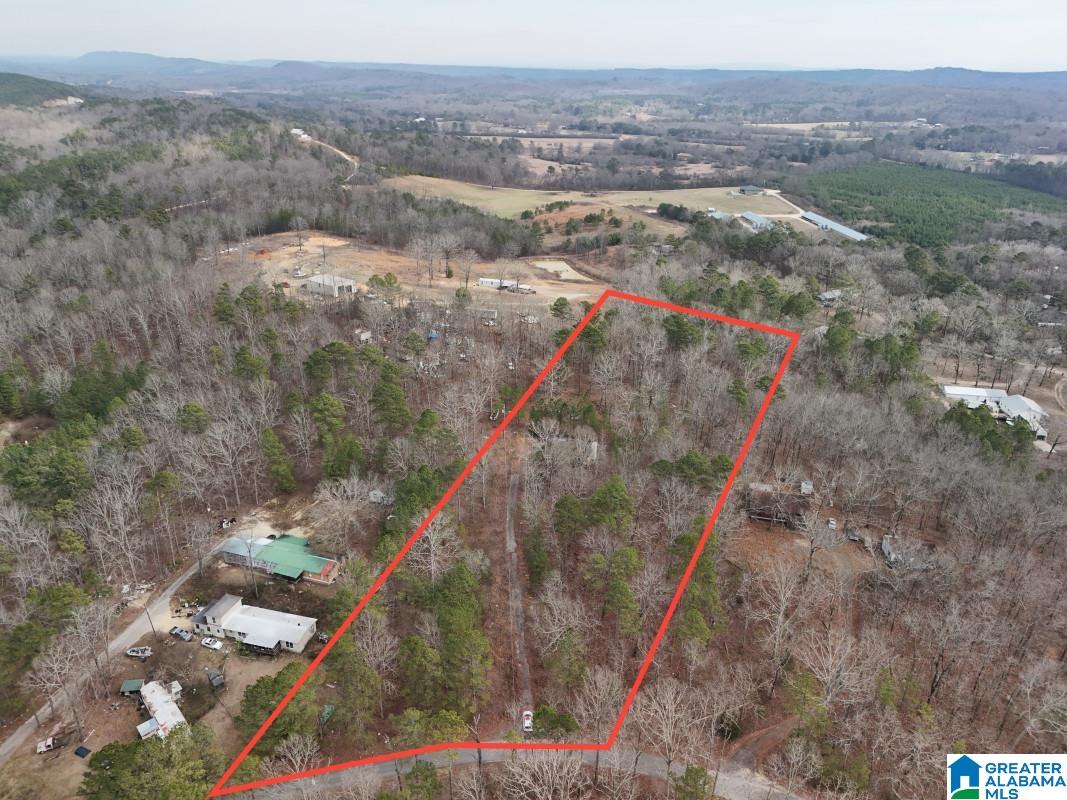 130 Evergreen Drive Springville, AL 35146 - Photo 11 of 20