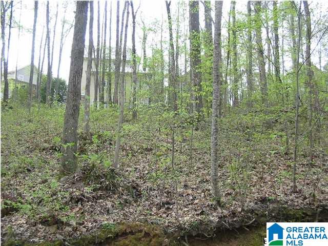 65 Hollow Road South, Unit 4 Blountsville, AL 35031 - Photo 1 of 14