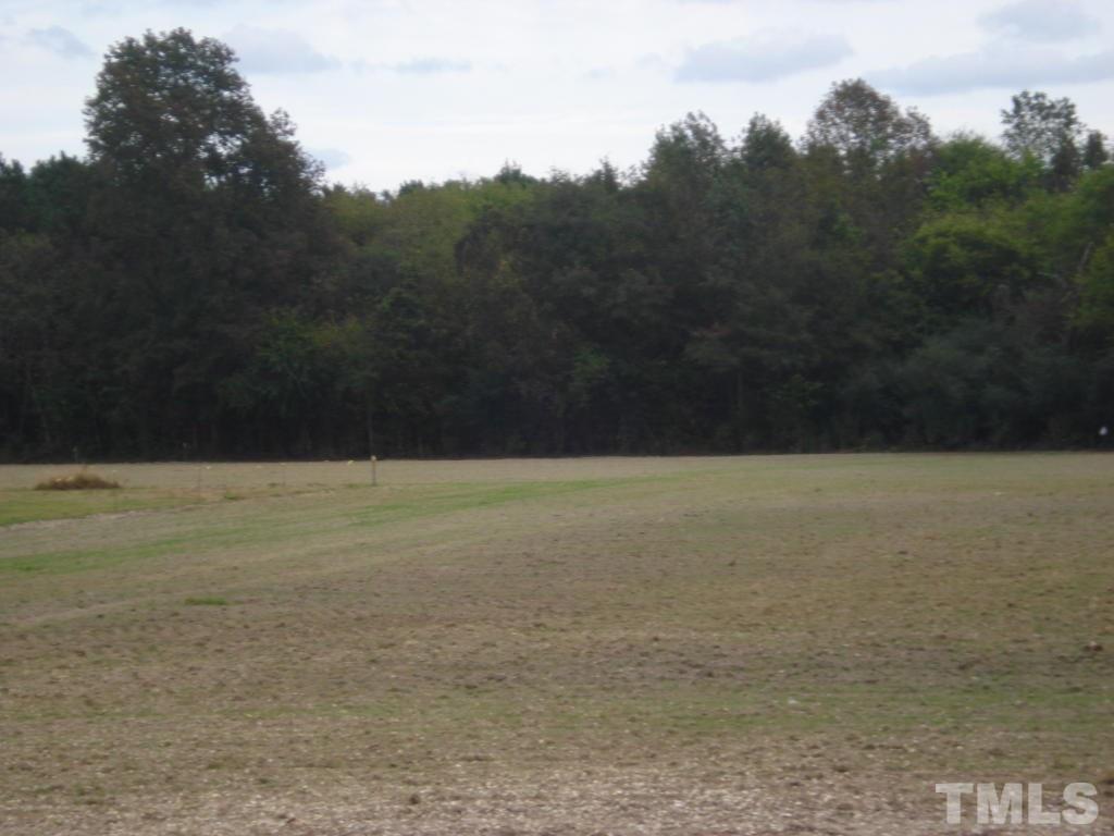 2 Kinsey Road Benson, NC 27504 - Photo 2 of 6 Gallery Image 2