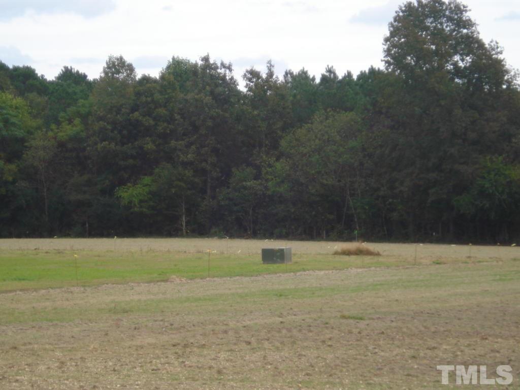 2 Kinsey Road Benson, NC 27504 - Photo 5 of 6 Gallery Image 5