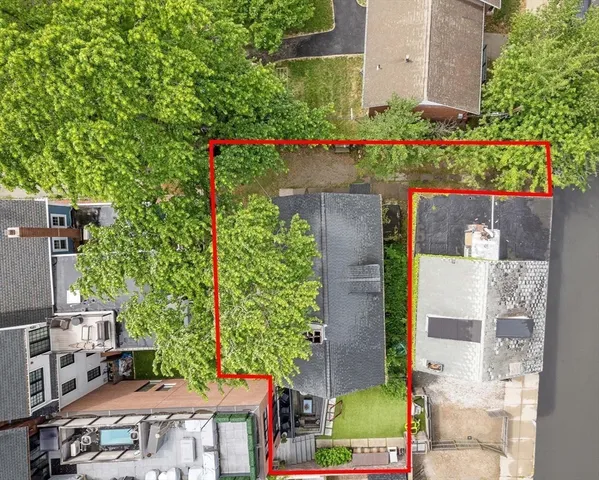 an outdoor space with plants