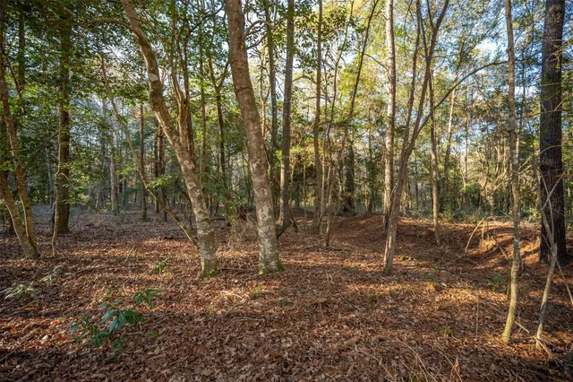 $594,500 | 220 County Road 2300, Woodville, TX 75979