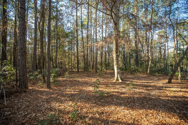 $594,500 | 220 County Road 2300, Woodville, TX 75979