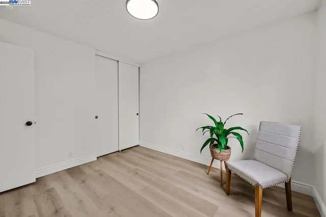 a view of a room with potted plants and wooden floor