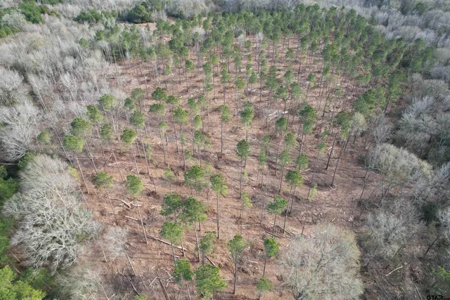 a close up of a field