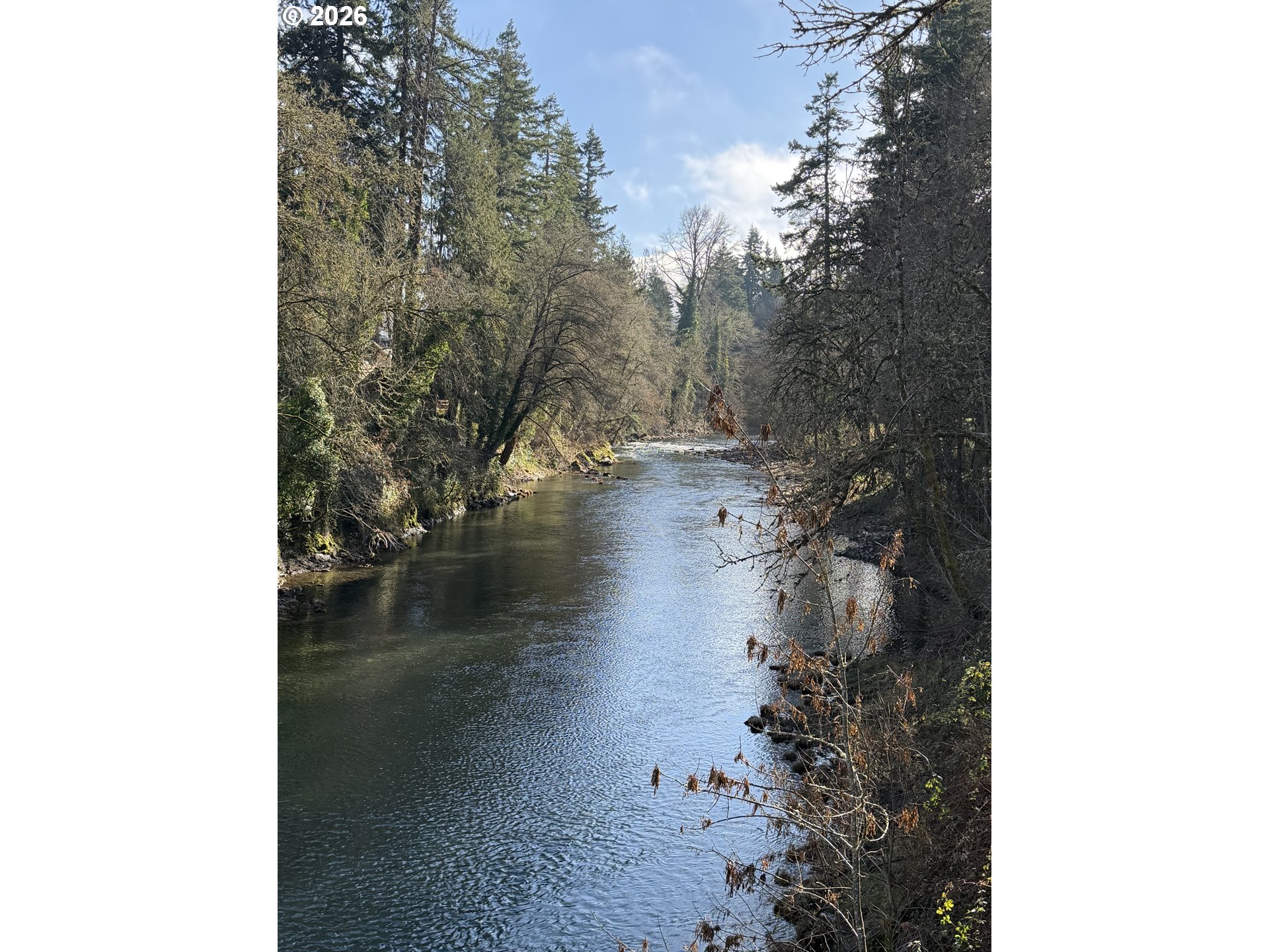 75767 Booth Kelly Camp Road Dorena, OR 97434 - Photo 37 of 38