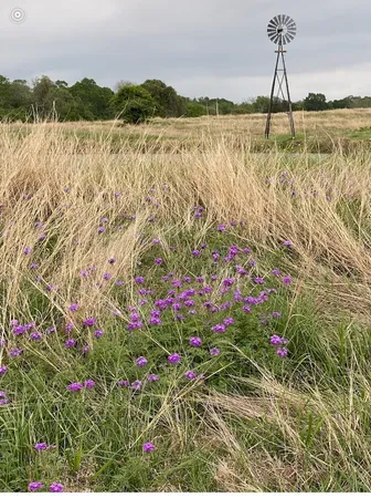 a view of lake with green space