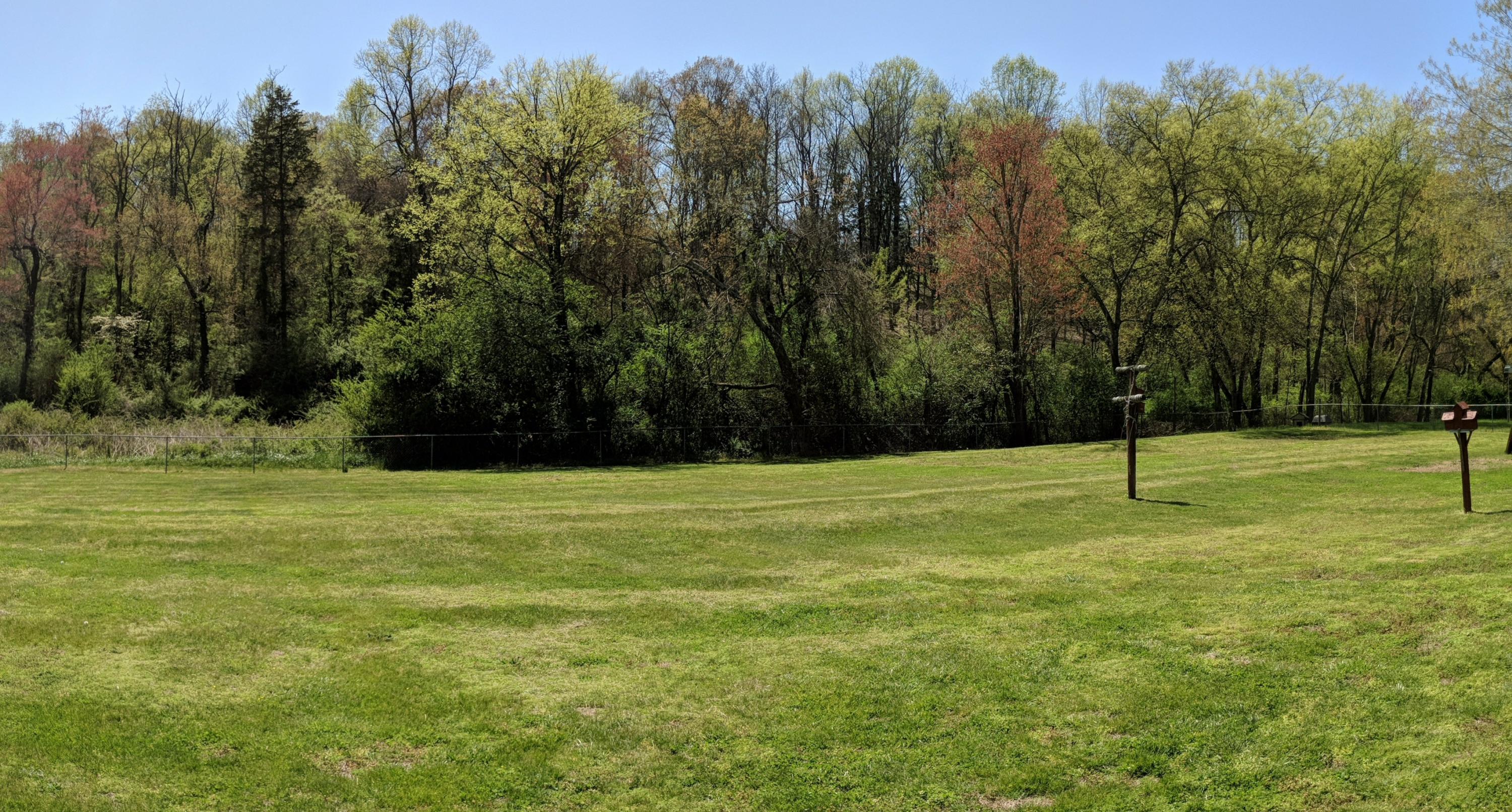 18080 Vonore Road Loudon, TN 37774 - Photo 28 of 28 PANO_20180413_143826