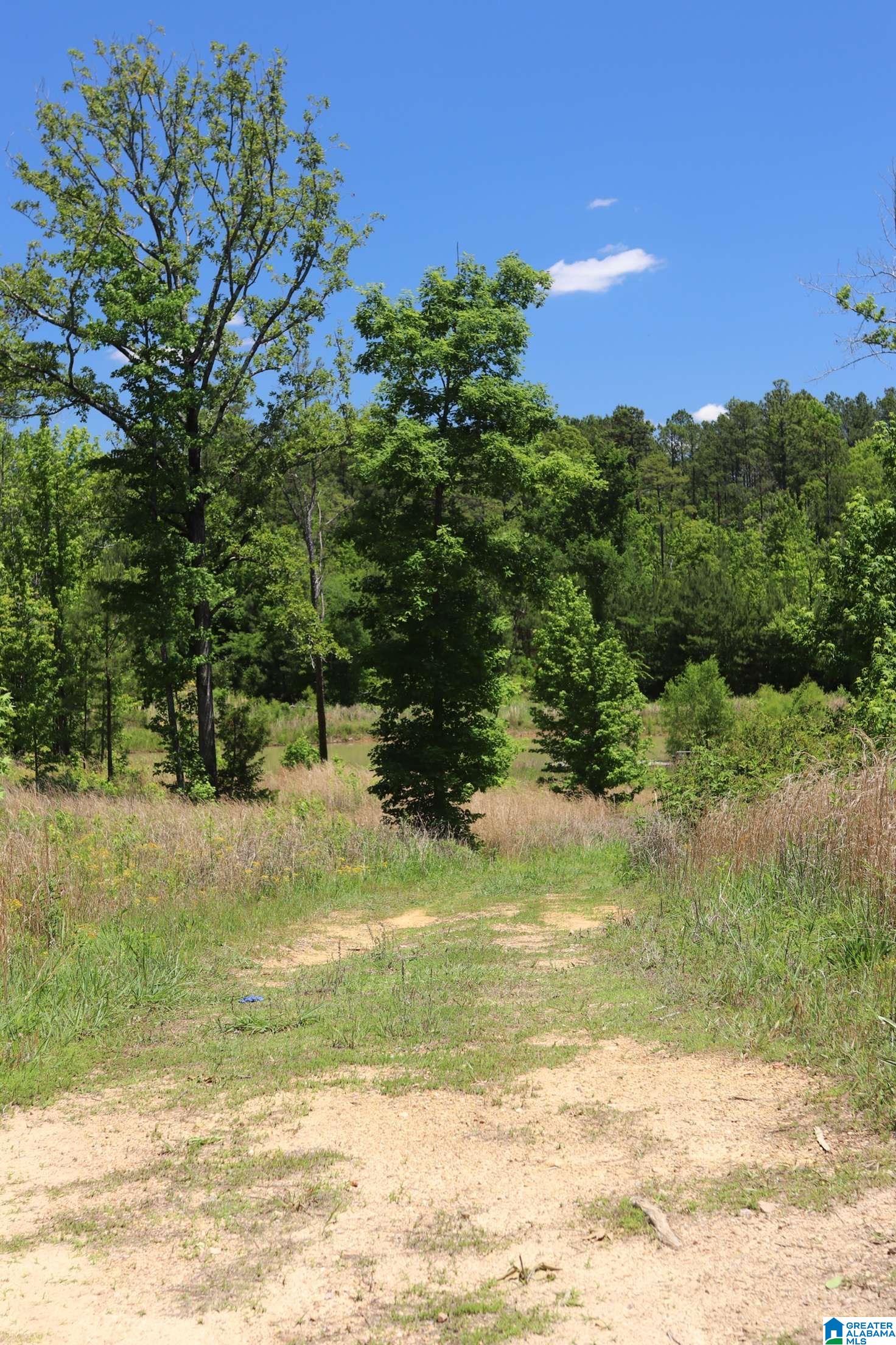 2930 Shocco Springs Road Talladega, AL 35160 - Photo 17 of 93