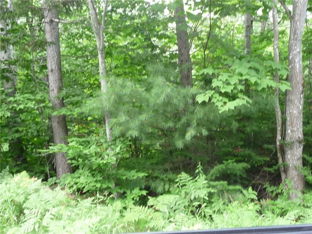 2032 Hillside Road Kingfield, ME 04947 - Photo 10 of 10 Photo