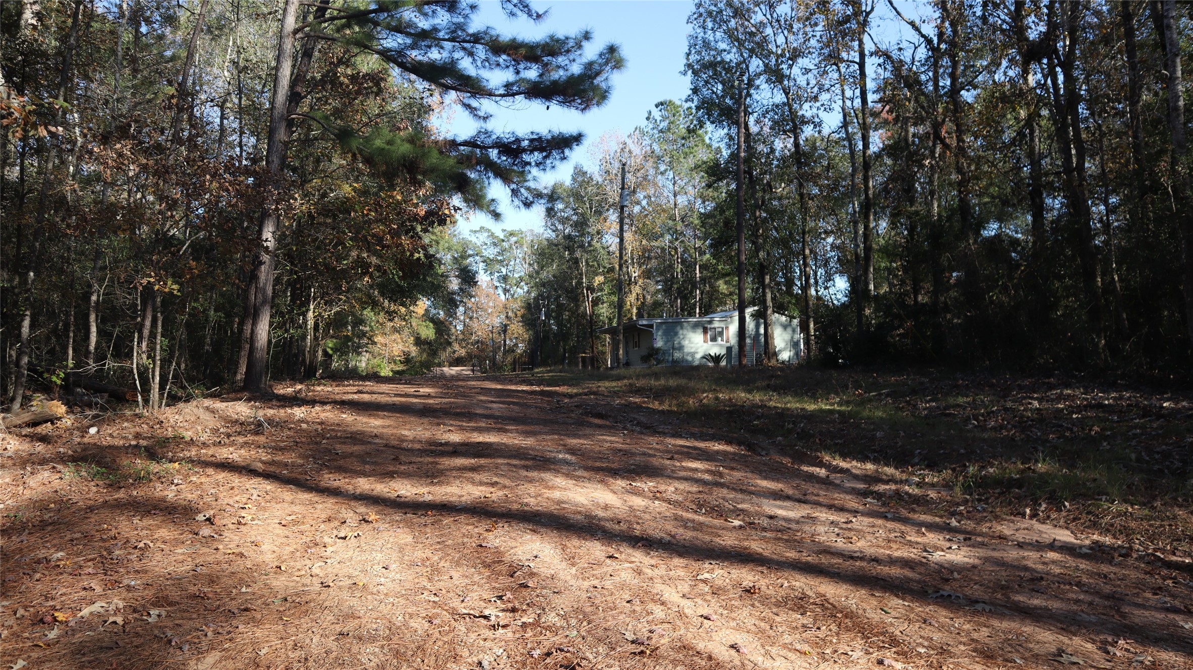 0 Pin Tail Drive Coldspring, TX 77331 - Photo 2 of 6 a view of backyard with green space