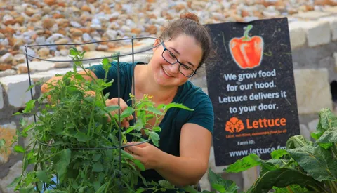 a sign board with flower plants and wooden fence