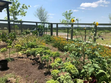 a front view of house with yard and outdoor seating