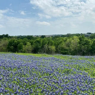 $399,000 | 9801 Petrichor Boulevard, Manor, TX 78653