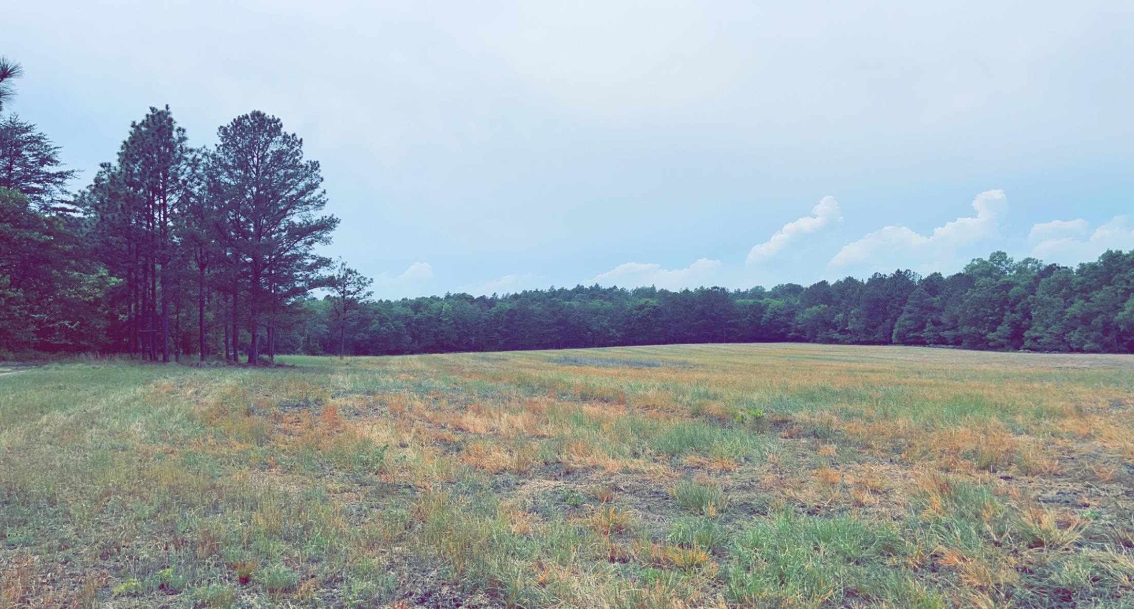 3836 Carthage Road West End, NC 27376 - Photo 2 of 9 a view of an outdoor space and mountain view