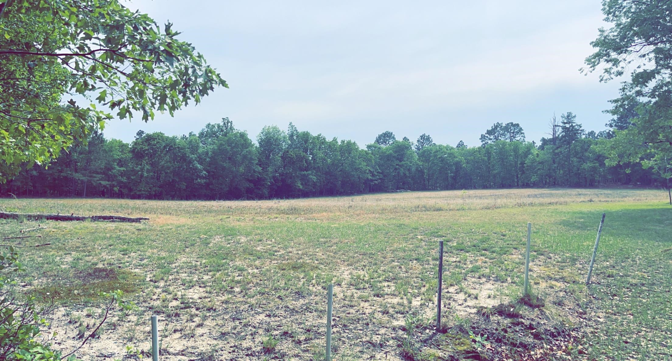 3836 Carthage Road West End, NC 27376 - Photo 6 of 9 a view of outdoor space and yard
