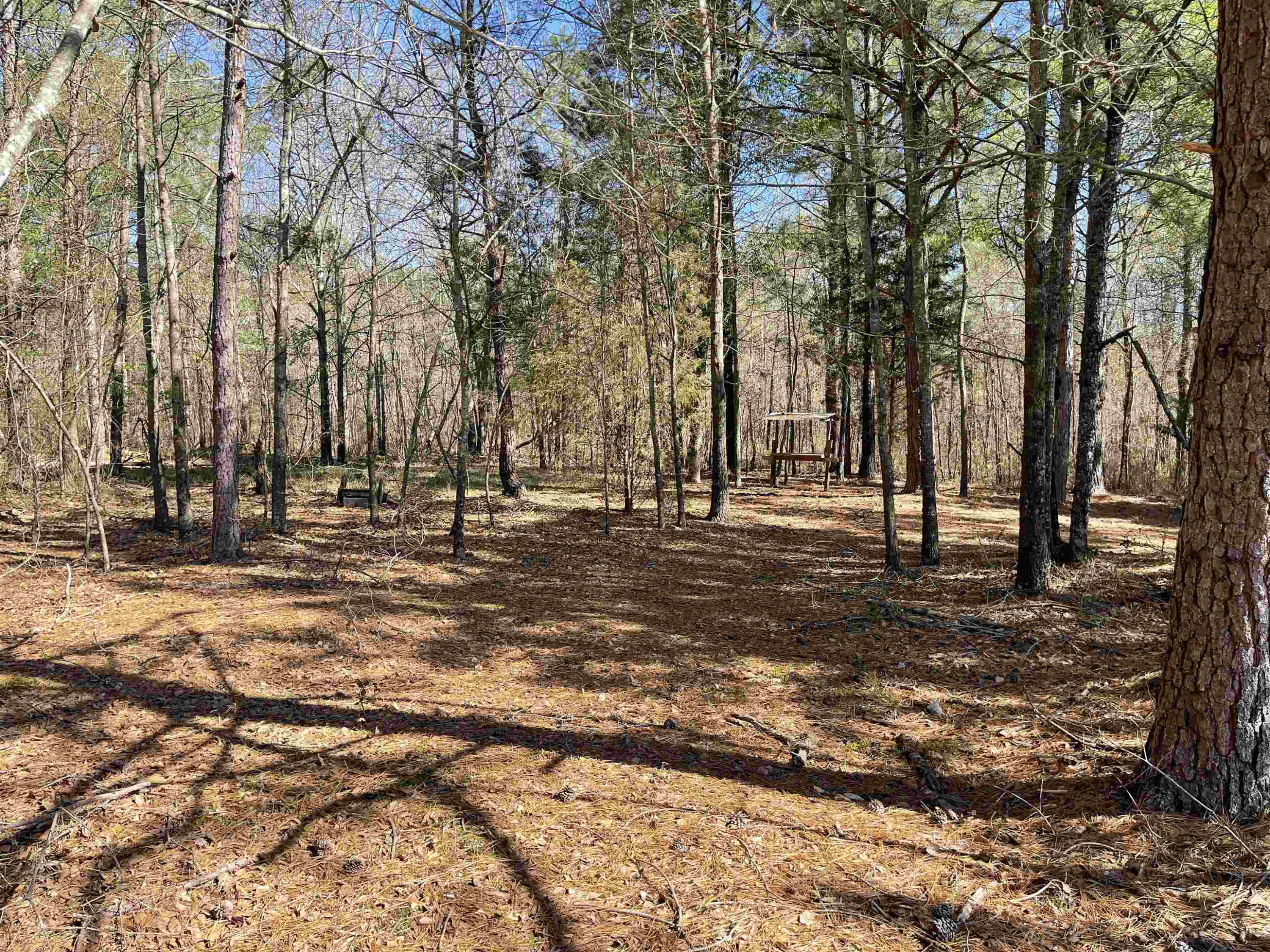 3836 Carthage Road West End, NC 27376 - Photo 7 of 9 a view of park space