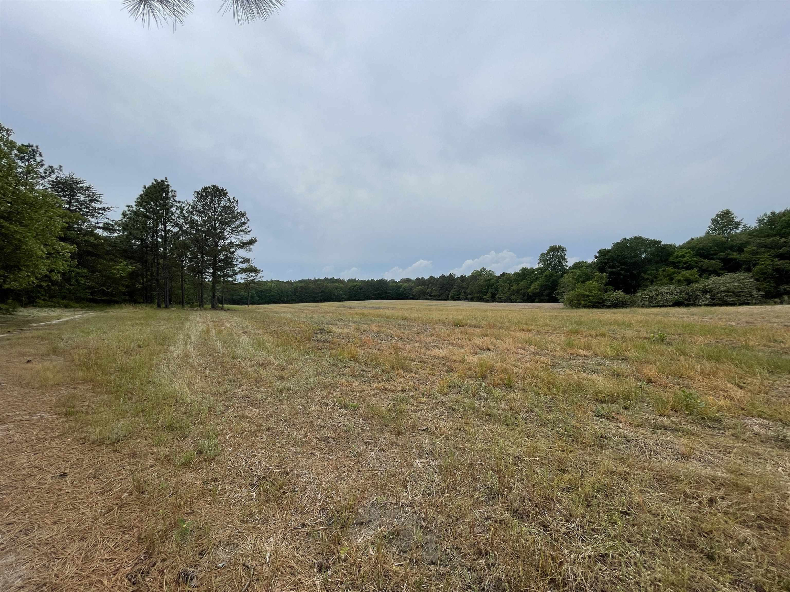 3836 Carthage Road West End, NC 27376 - Photo 8 of 9 a view of a lake view