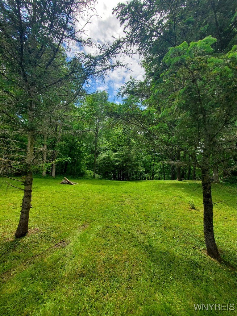 7200 Kent Road Little Valley, NY 14755 - Photo 35 of 43