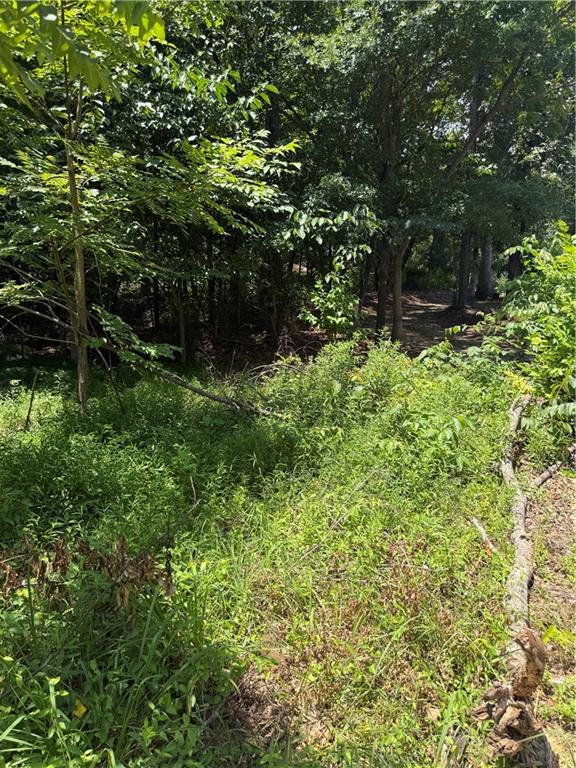 217 Bagwell Garland Road Canton, GA 30115 - Photo 13 of 14