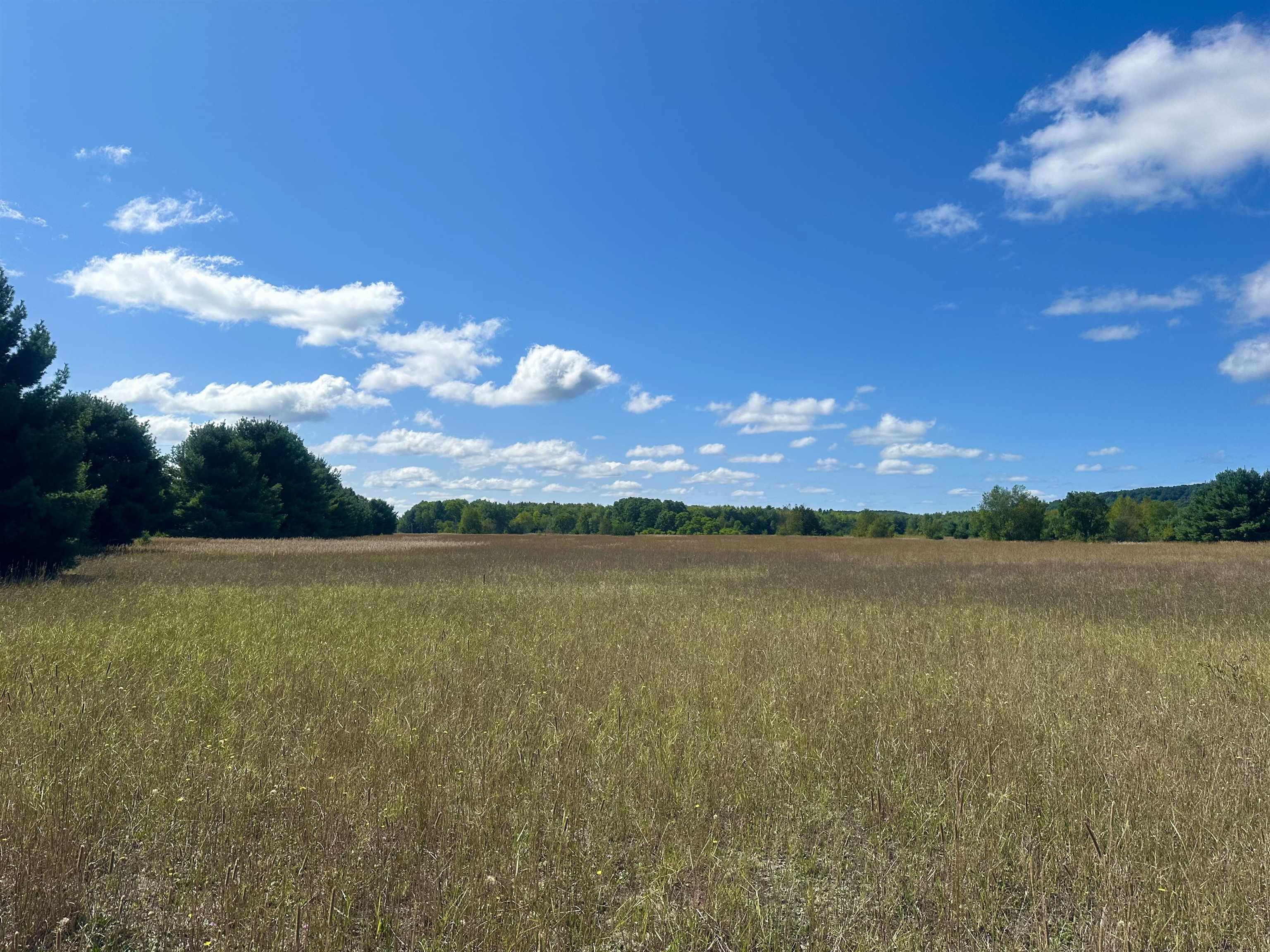 0 Psutka Road Thompsonville, MI 49683 - Photo 4 of 12