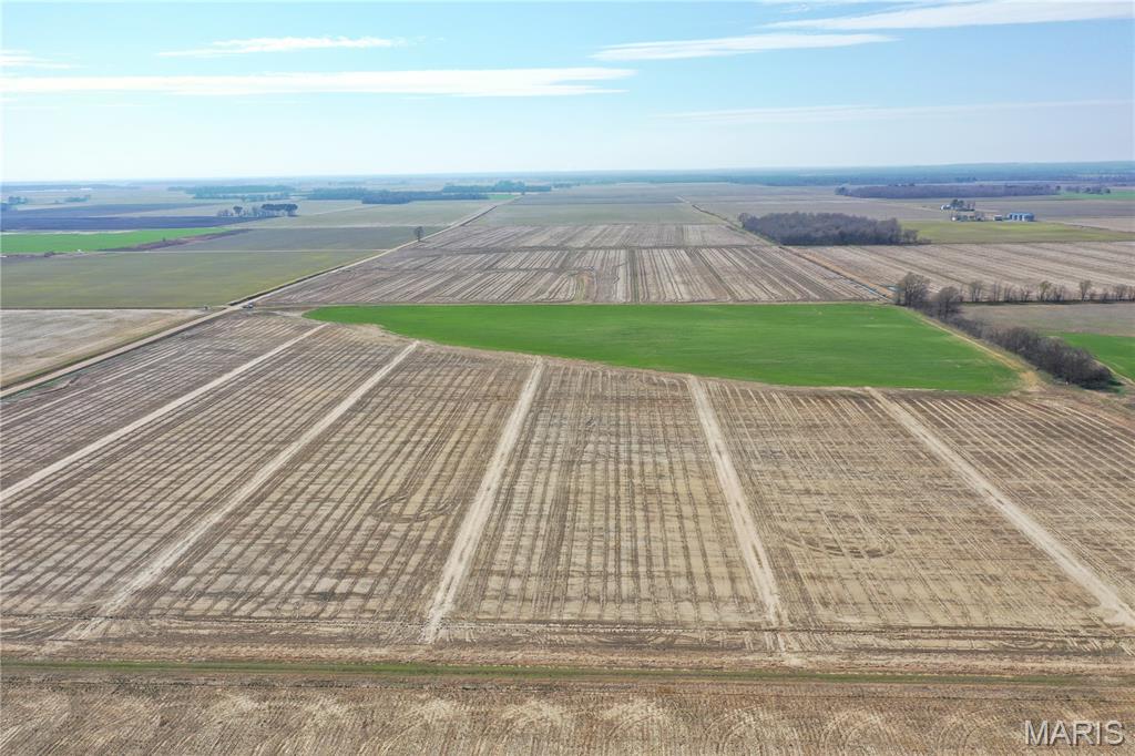 172 Clay County Road 172 Success, AR 72470 - Photo 1 of 17