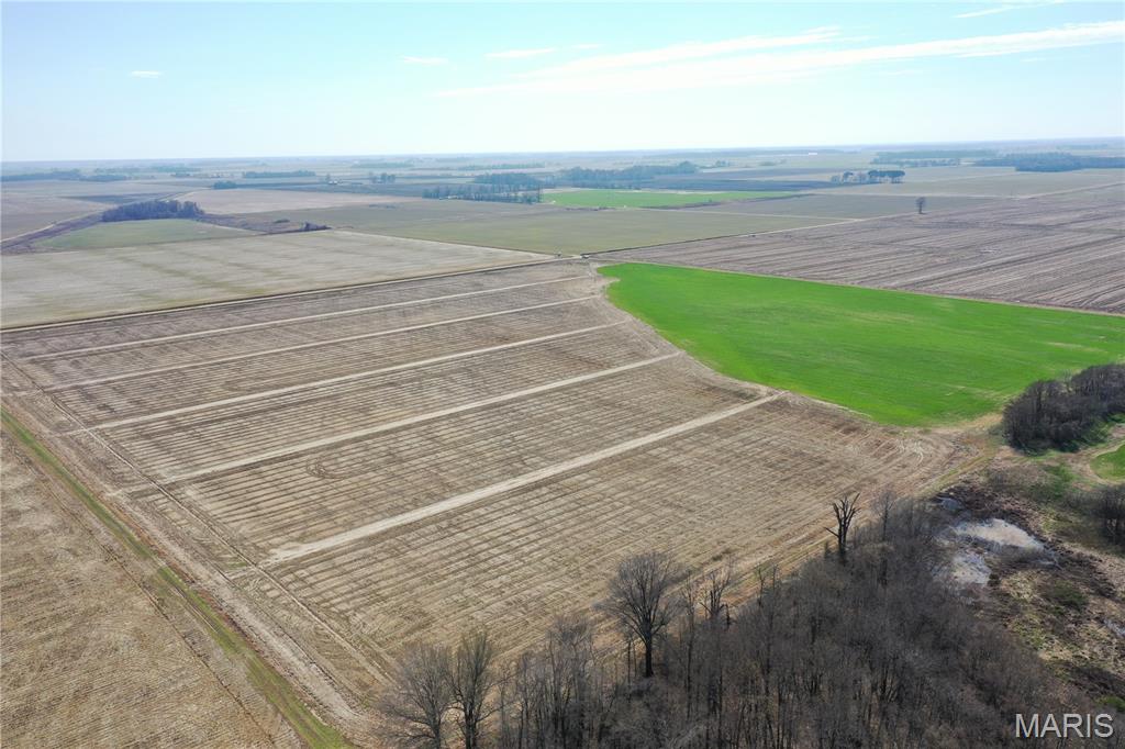 172 Clay County Road 172 Success, AR 72470 - Photo 11 of 17