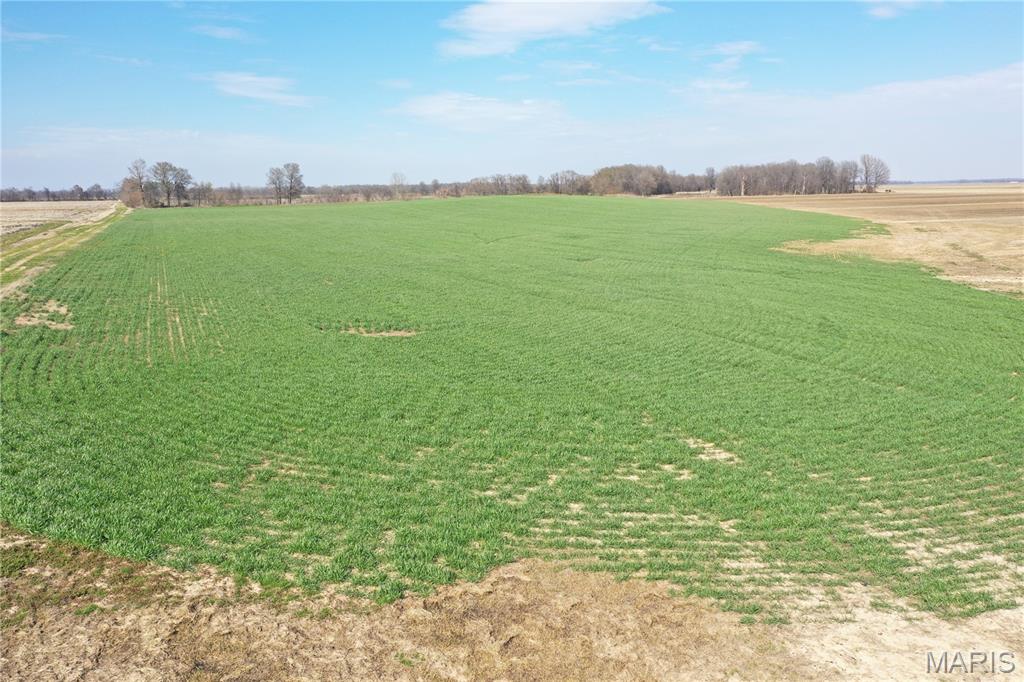 172 Clay County Road 172 Success, AR 72470 - Photo 14 of 17