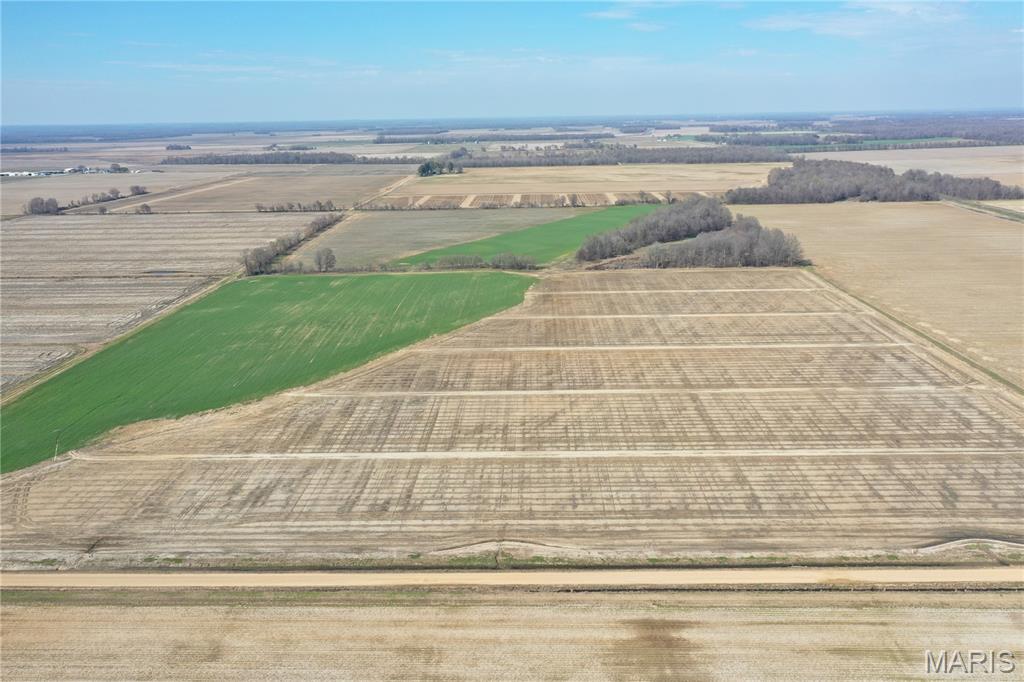 172 Clay County Road 172 Success, AR 72470 - Photo 3 of 17