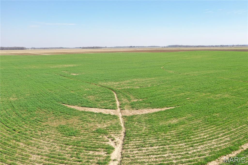 172 Clay County Road 172 Success, AR 72470 - Photo 4 of 17