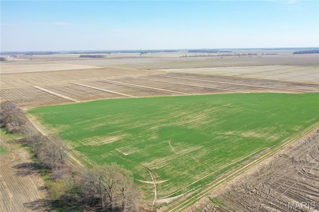 172 Clay County Road 172 Success, AR 72470 - Photo 5 of 17